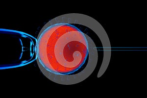 CORONA VIRUS COVID MICROSCOPE MACRO